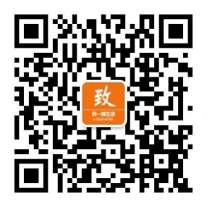 致另一种生活微信公众号