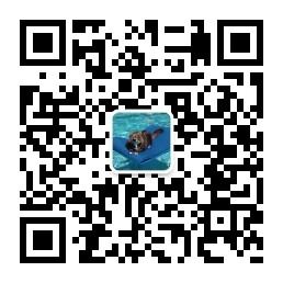 一只猫唠电影微信公众号