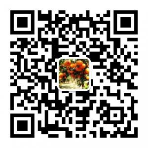 林元三农科技服务部微信公众号