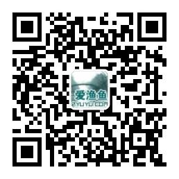 爱渔鱼X钓鱼爱好者微信公众号