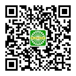 蒲公英书法美术微信公众号