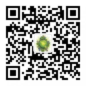 世界城市物语微信公众号