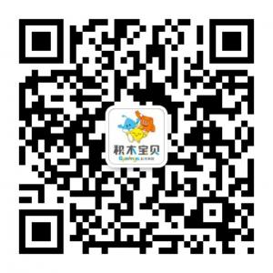 西安积木宝贝科学微信公众号