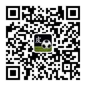 基动战士皮蛋微信公众号