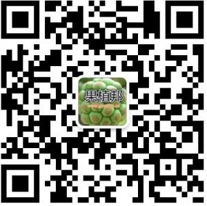 黑老虎（果植邦社微信公众号